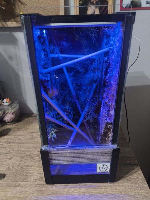 Terrarium z oswietleniem dla modliszki