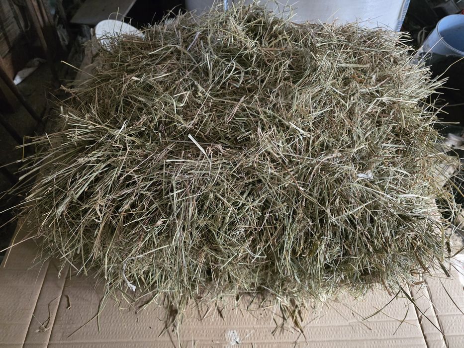 Słoma siano kostki w kostkach owsiana i z prosa