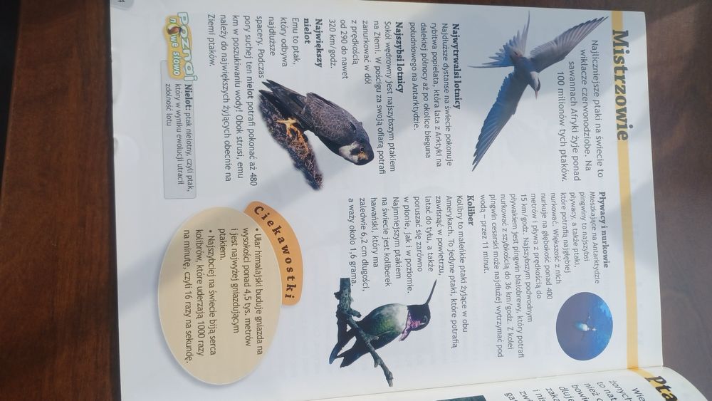 Ptaki- biblioteka wiedzy