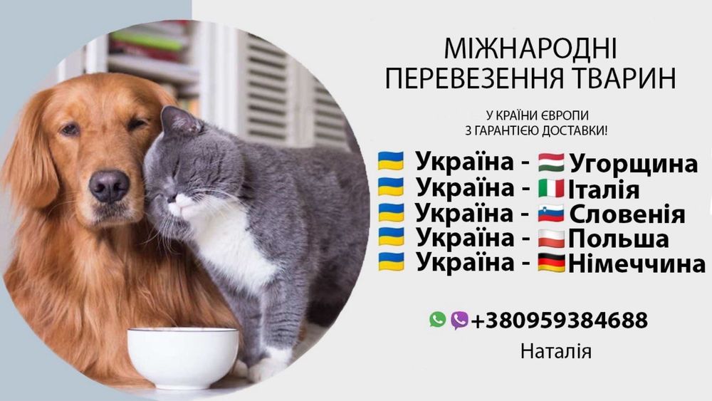 Перевозка животных