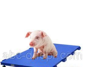 Весы для животных платформенные, ваги для тварин, терези платформні