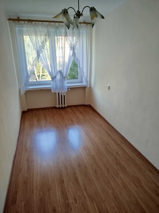 Zdjęcie 3