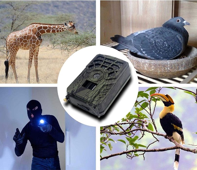 Fotopułapka kamera leśna