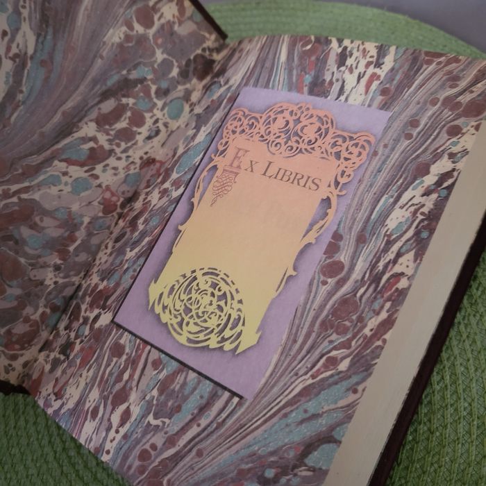 Aleksander Puszkin, Eugeniusz Oniegin. Jak nowa