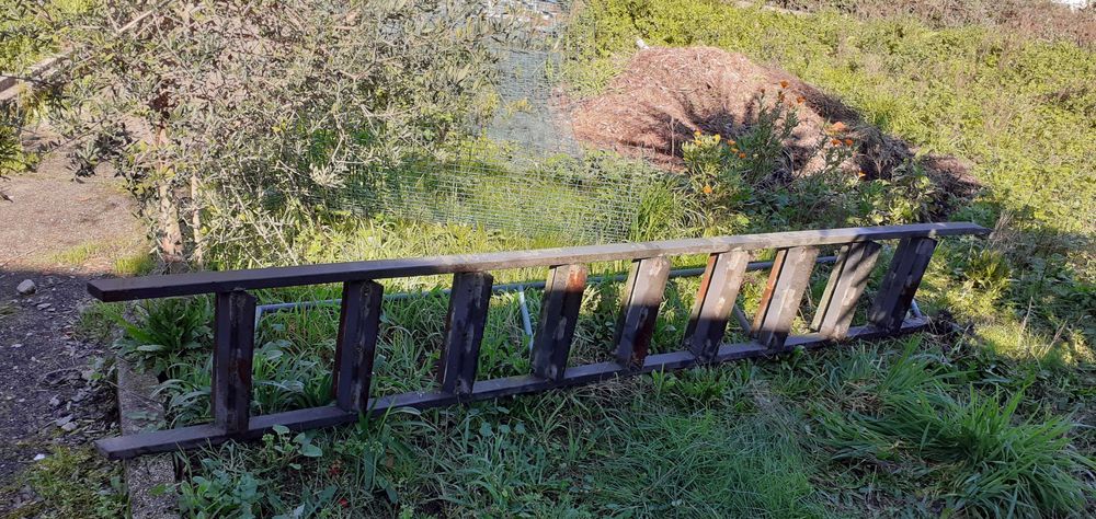 Escada em ferro ( 3,05 m x 0,46 m)