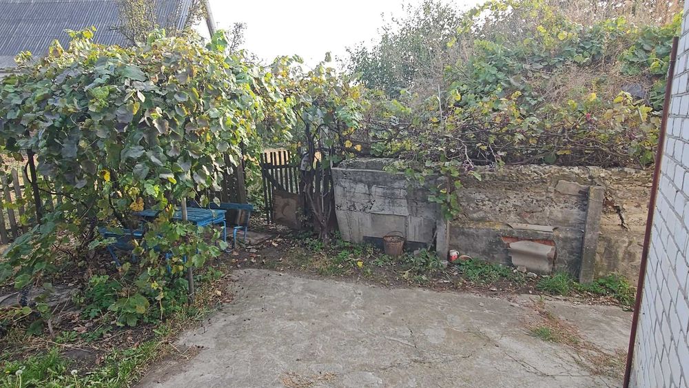 Капітальний будинок поруч з центром міста Баришівка 22 сотки - Є Відео