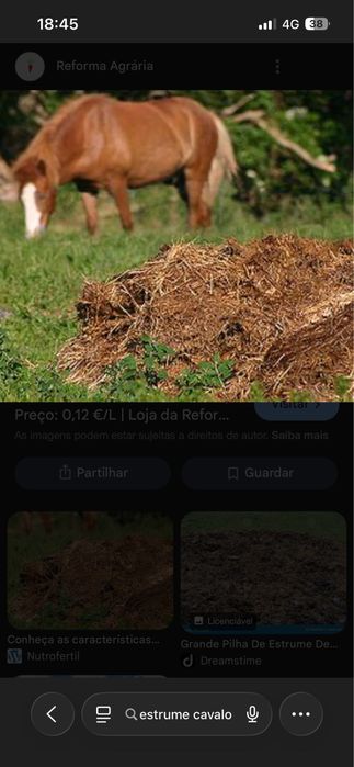 Vendo estrume de cavalo muito bom