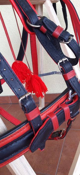 Szory  puszorek  na kucyka