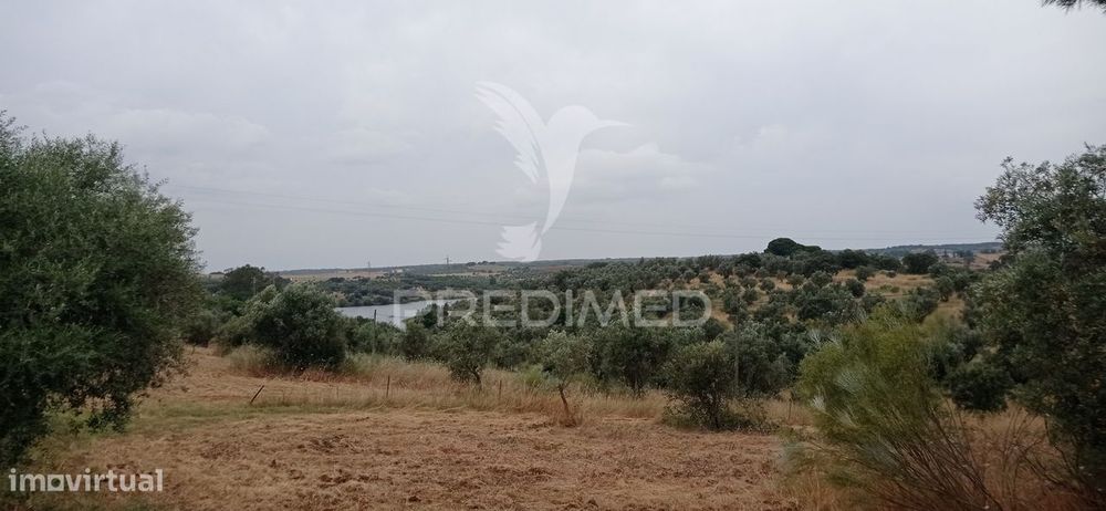 Terreno rústico com viabilidade de construção, Avis