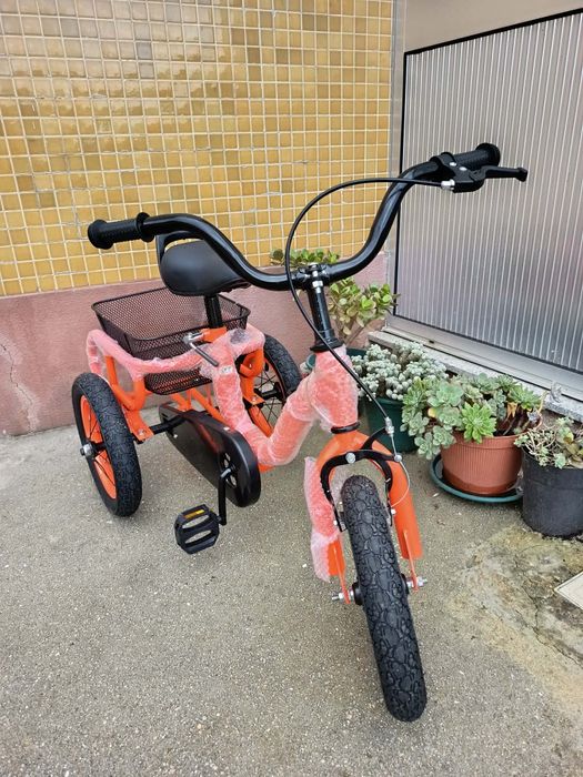 Triciclo criança com Cesto Traseiro – R 12"
