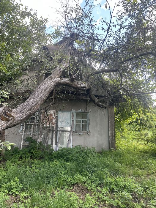 Продам земельну ділянку разом із будиночком у селі Рудка