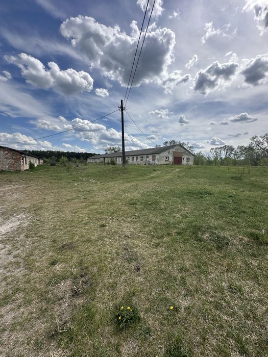 Продається Приміщення вільного призначення с. Залізці