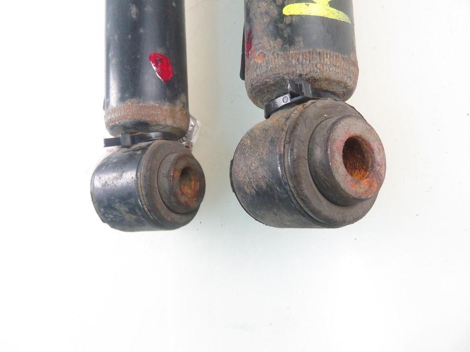 Amortyzatory Tył Citroen C3 II Komplet