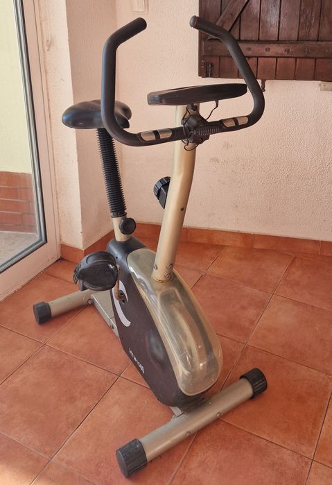 Bicicleta Estática Buffalo