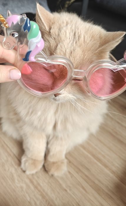 Różowe Okulary pony jednorożec