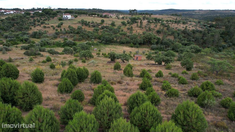 Terreno