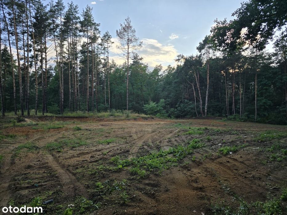 Działki nad wodą – Pilica k. Warki, dookoła las, cisza i spokój :)