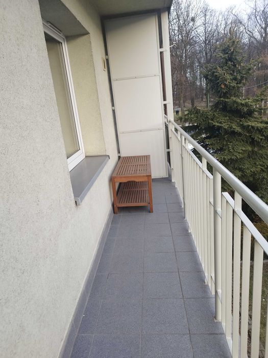 do wynajęcia mieszkanie w cichej i spokojnej okolicy