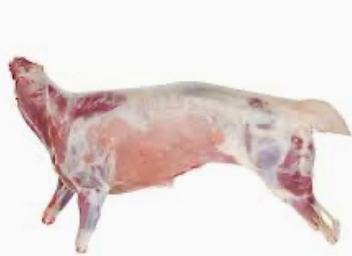 Мʼясо барана, баранина, тушка барана