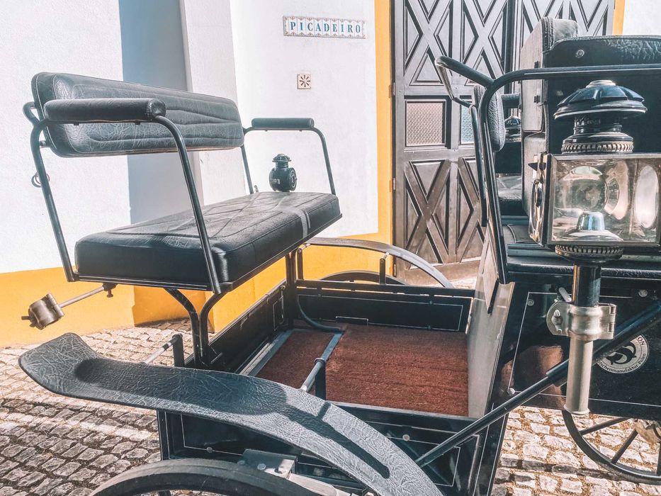 Carro de atrelagem Sierakowski & son