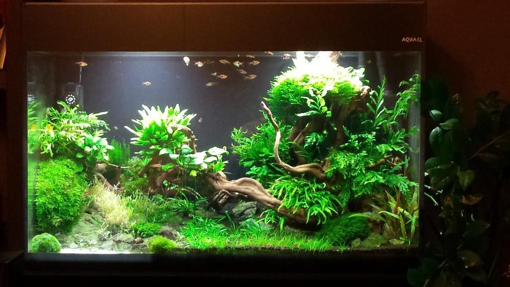 Nawóz Potas K do roślin 500mil