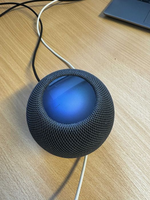 Uszkodzony Homepod Mini Czarny/Black