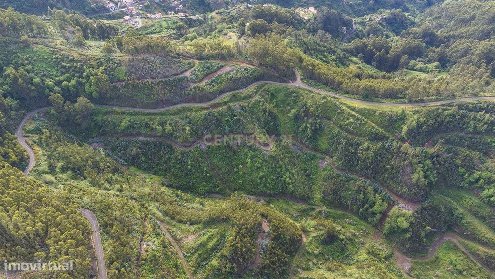 Terreno de 120.000m² com Potencial Agrícola - Campanário