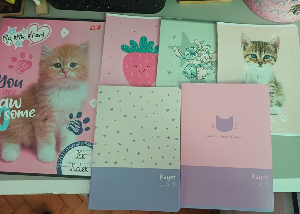 Zeszyty w cienką linię