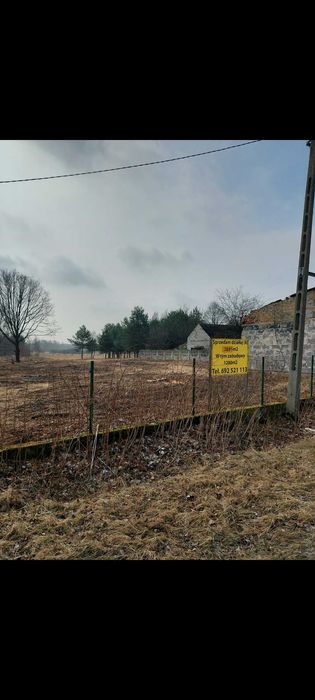 Zdjęcie 8