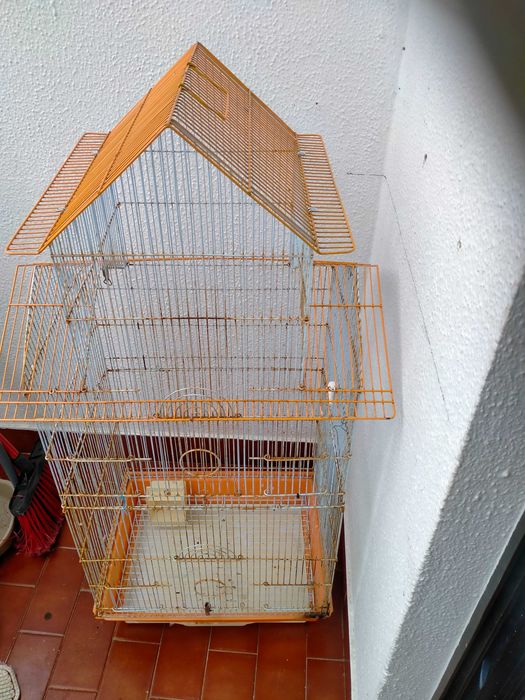 Gaiola pássaros (lê o anúncio)