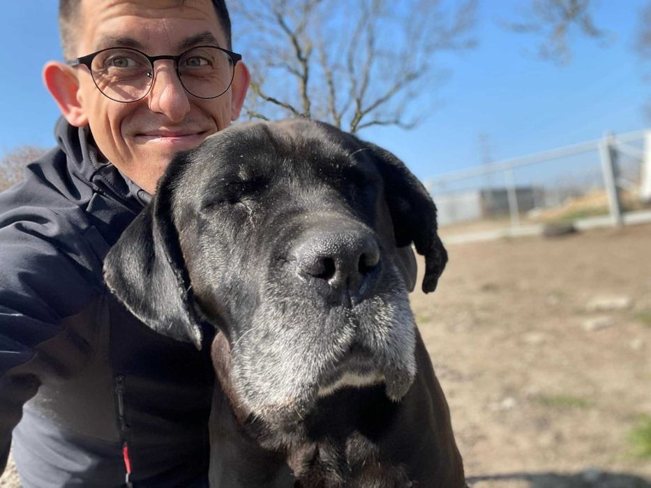 Frodo - bardzo chce mieć nowy dom. Akceptuje dzieci.