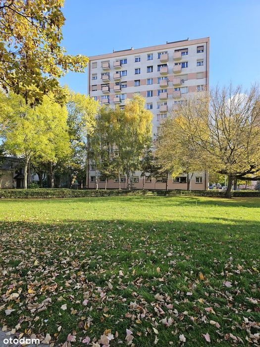 Sprzedam Mieszkanie 3-pokojowe Leszno