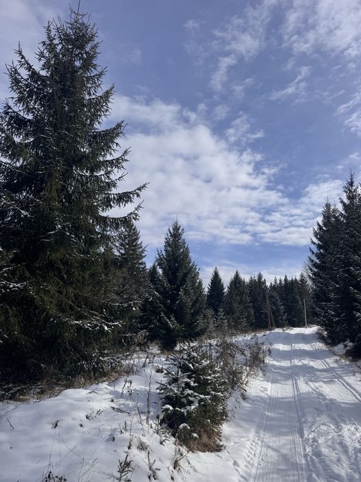 Продам ділянку в Карпатах з доїздом легковим авто с. Ільці