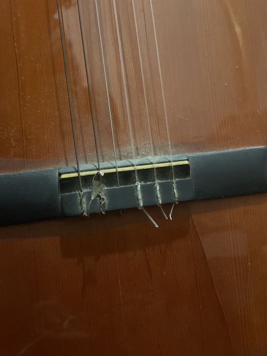 Guitarra Marce (Fabrica de Guitarras