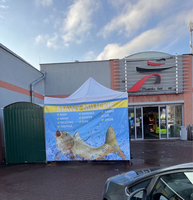 Karp Milicki - Punkt sprzedaży żywych i patroszonych