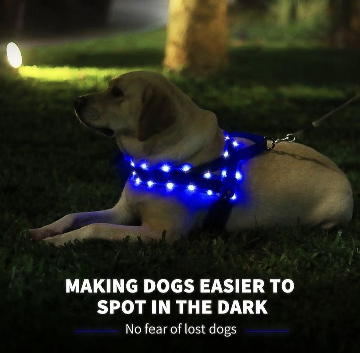 Szelki led dla psa
