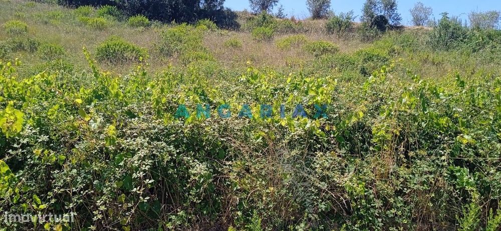 ANG1460 - Terreno para Venda em Batalha — Batalha, Leiria