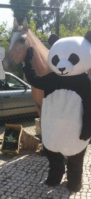 Mascote do Panda
