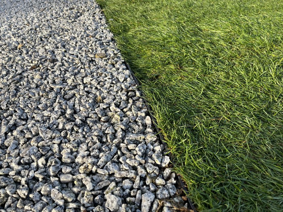 Trawa w rolce, trawa z rolki, 40m2 z dostawą pod sam dom