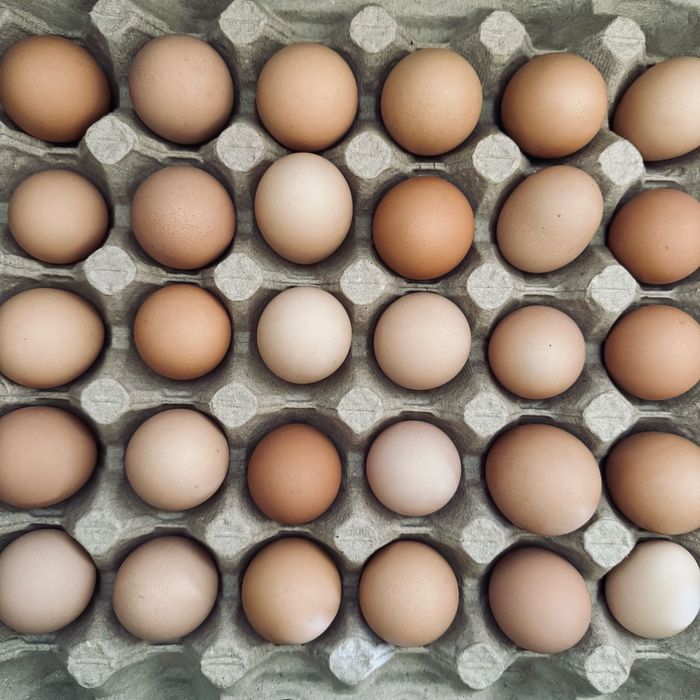 Яйця курячі столові