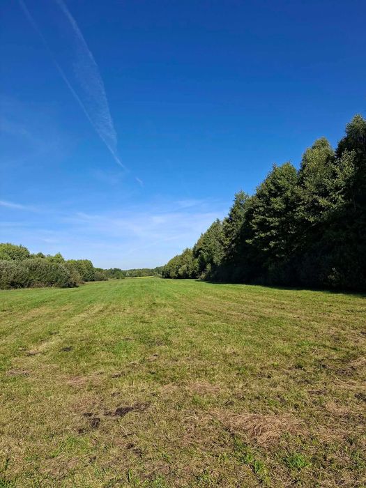 Grunty rolne 0,98ha - Widok 2