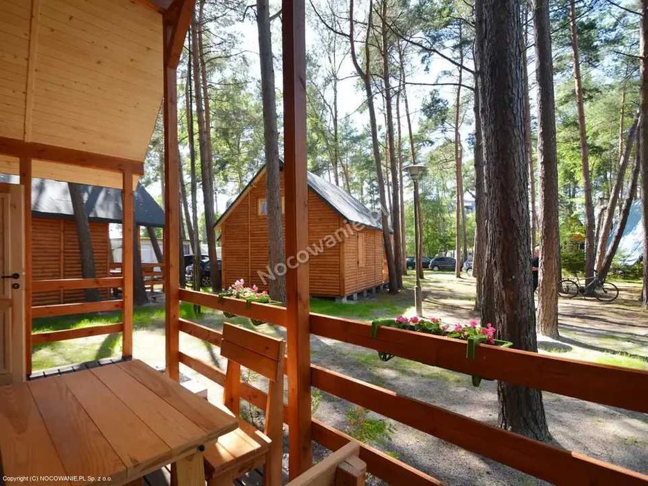 Wynajem domków letniskowych Międzywodzie (Domki nad morzem)