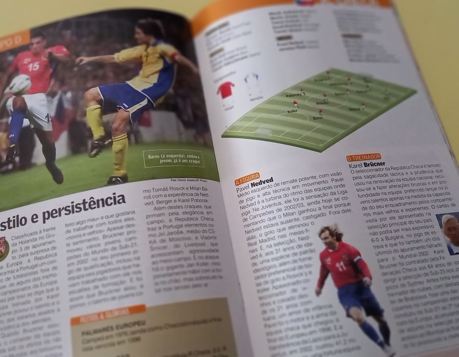 Guia Treinador do Europeu de 2004