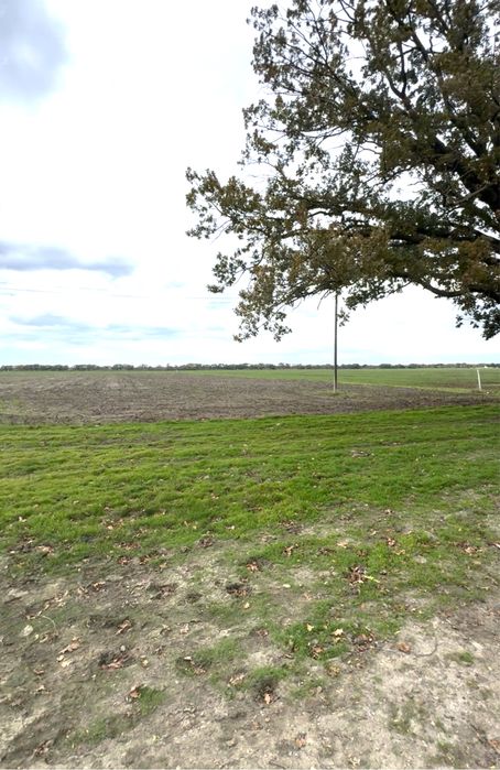 Участок в с.Молодежное, 2га