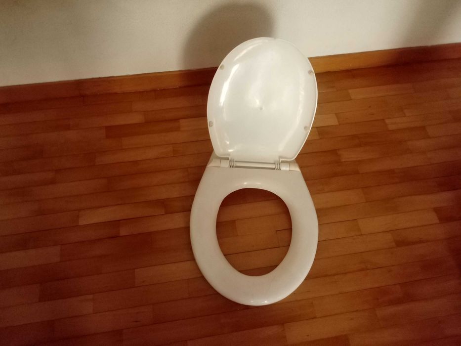 Tampa de sanita branca