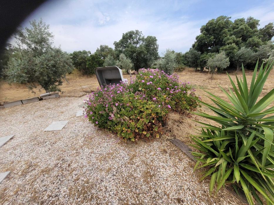 Conheça a quinta com que sempre sonhou.