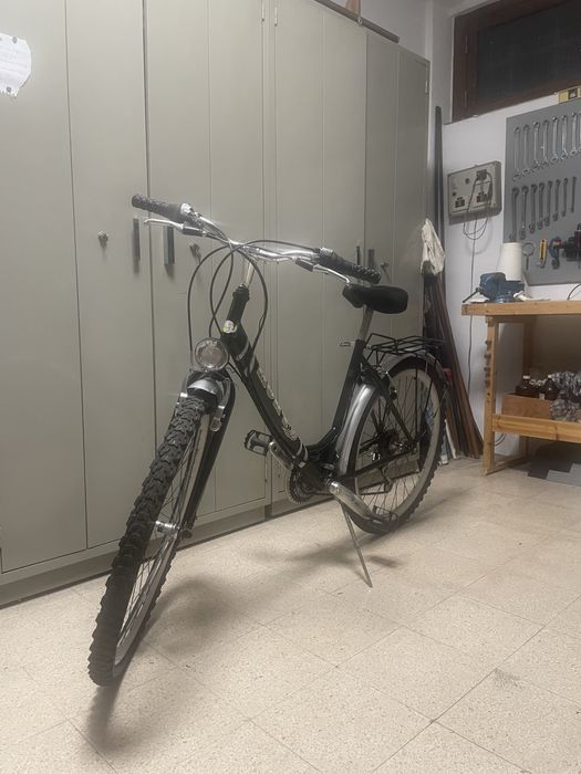 Bicicleta Monty