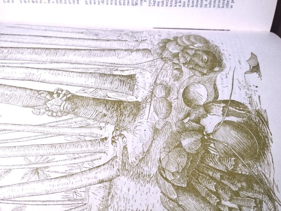 Życie Morza Kazimierz Demel