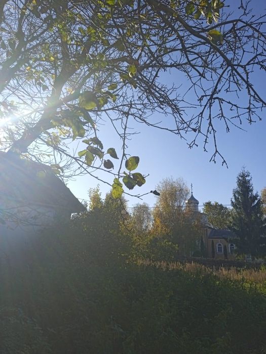 Продам дерев'яний будиночок під реконструкцію, 0.18 га землі