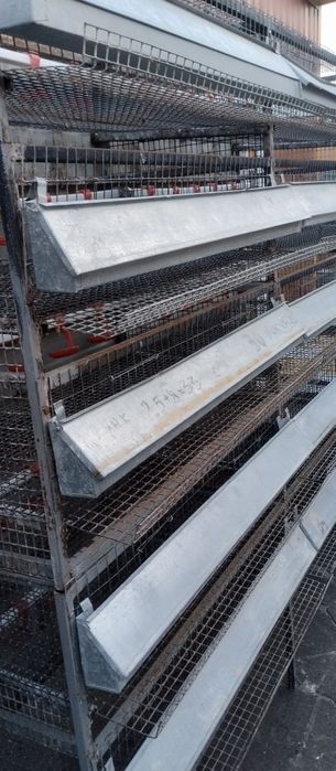 Перепелинная ферма